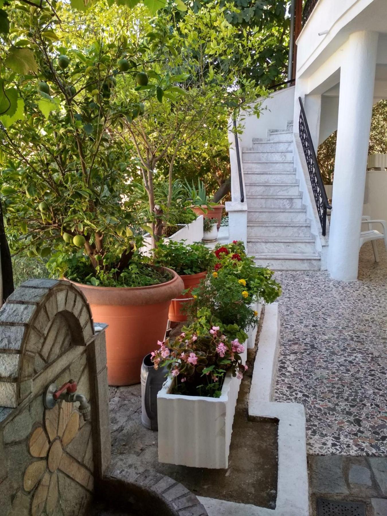 Вілла Vasilis Garden House Кавала Екстер'єр фото